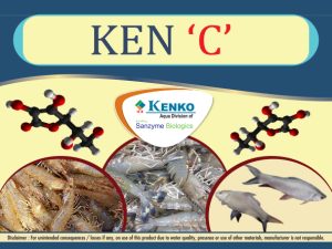 KEN C