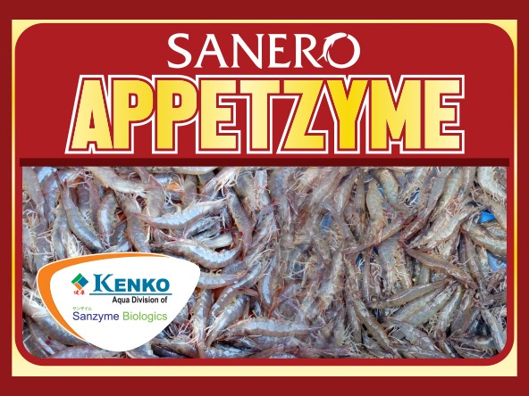 Sanero Appetzyme