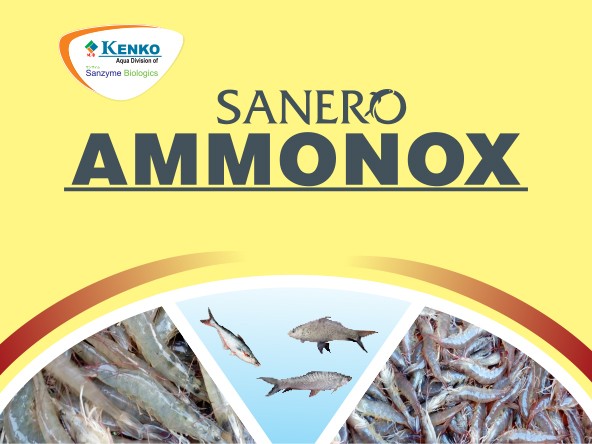 Sanero Ammonox