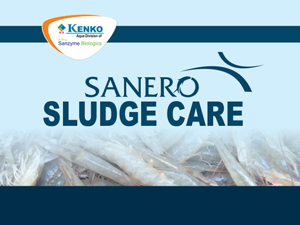 Sanero Sludge Care