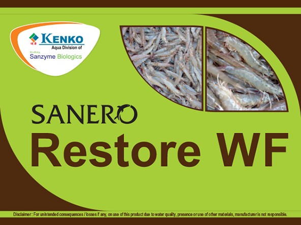 Sanero Restore WF