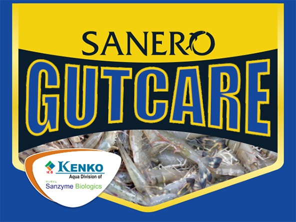 Sanero Gutcare