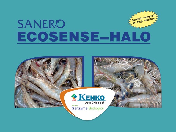 Sanero Ecosense Halo