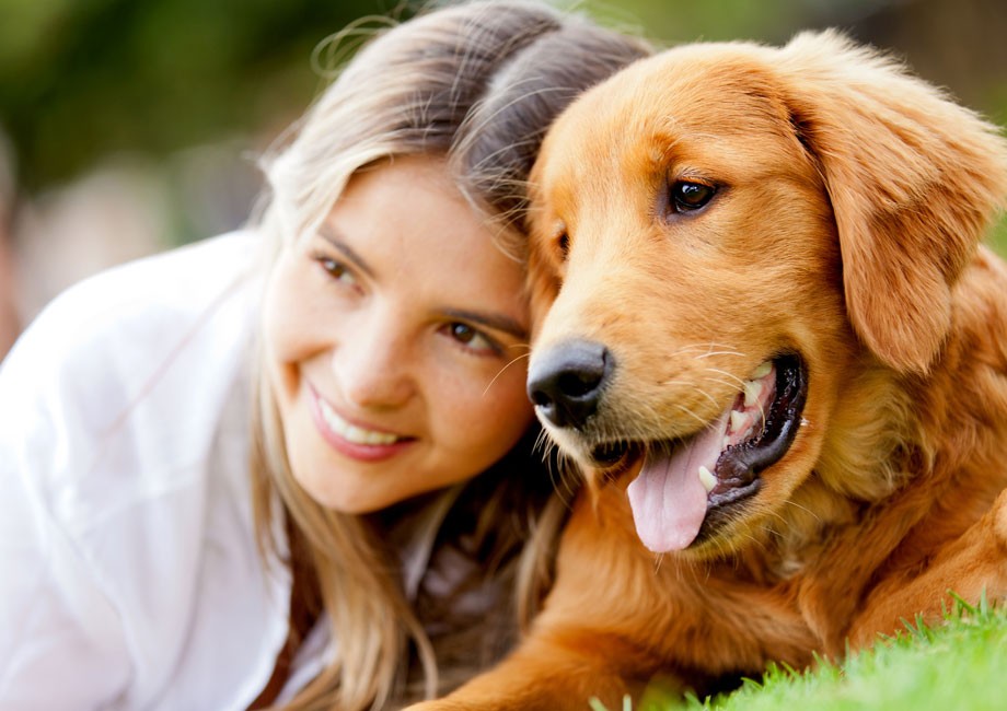 Probiotic Strain for dogs