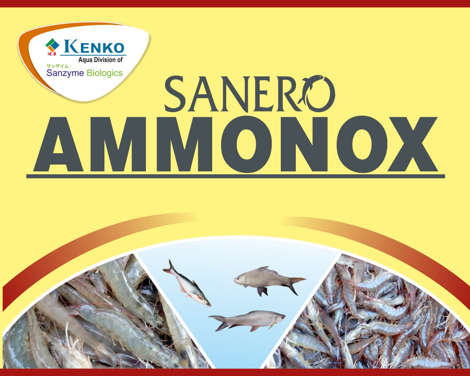 Sanero Ammonox