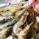 Probiotics in shrimp farming